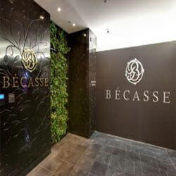 becasse