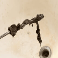 dirty-drain-snake