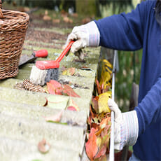 cleaning the gutter with leaves